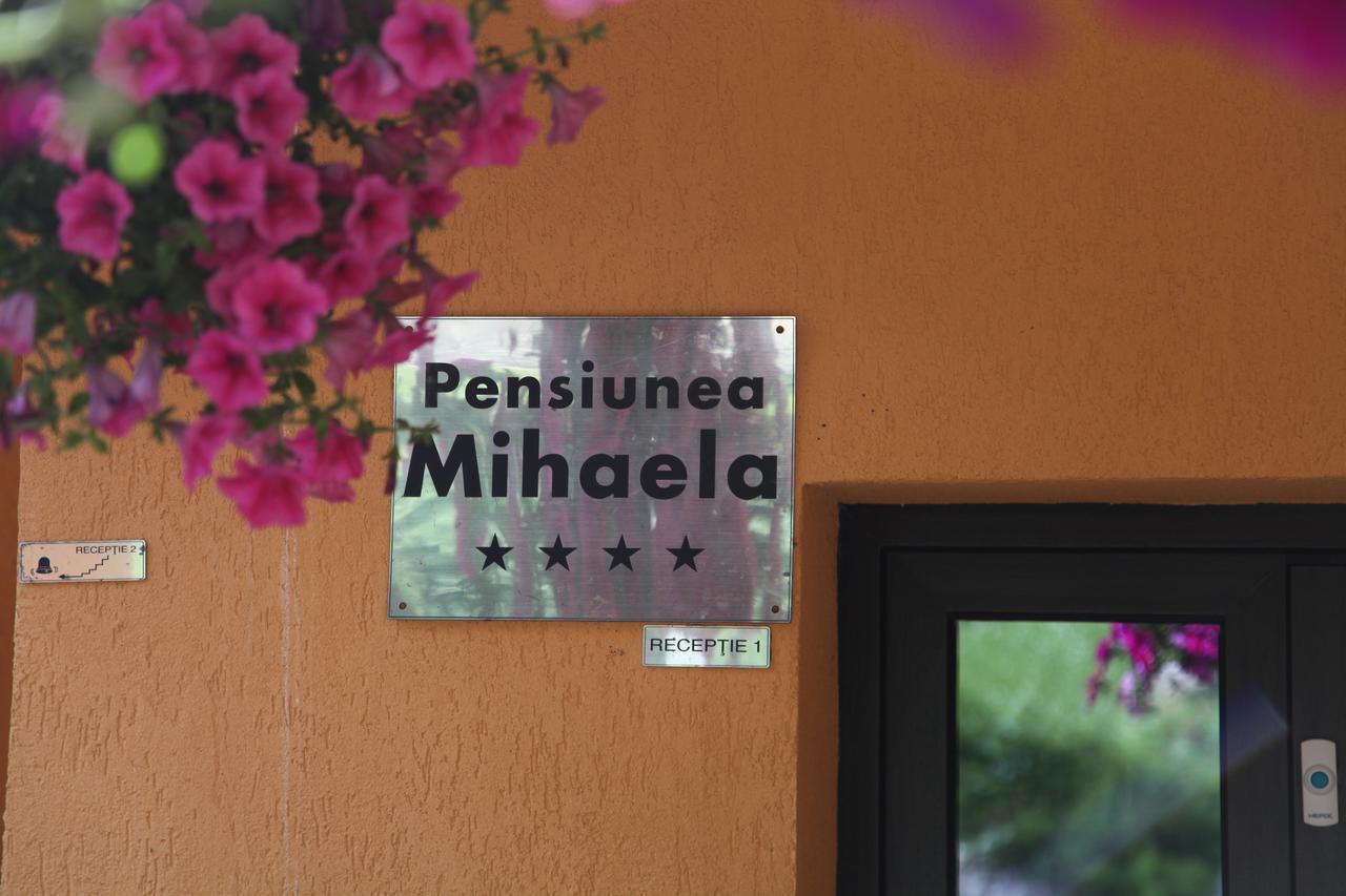 Pensiunea Mihaela Пояна-Брашов Экстерьер фото